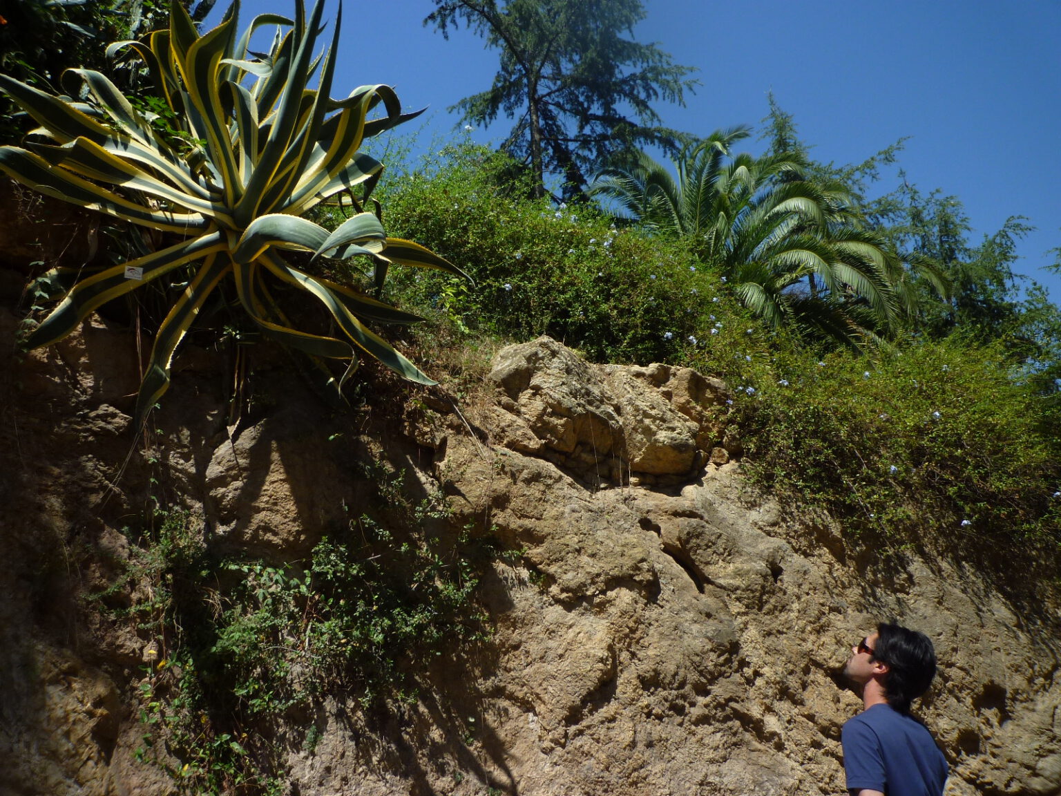 Yuki Inoue | 井上 祐樹